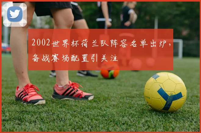 2002世界杯荷兰队阵容名单出炉，备战赛场配置引关注