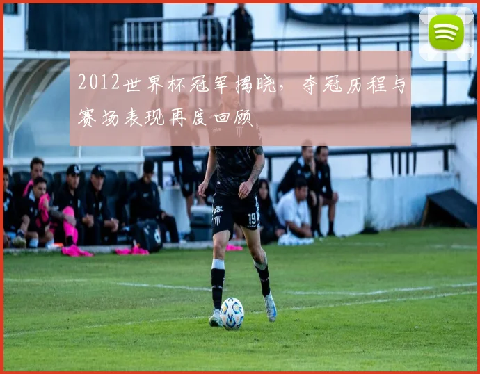 2012世界杯冠军揭晓，夺冠历程与赛场表现再度回顾