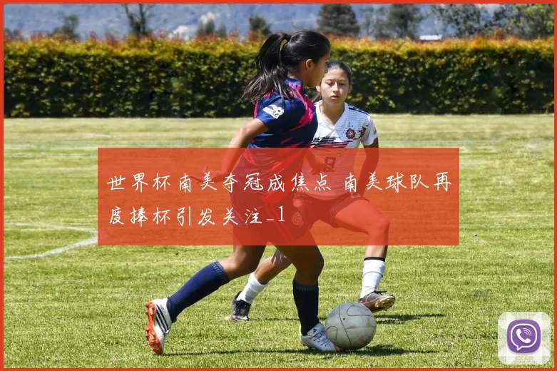 世界杯南美夺冠成焦点 南美球队再度捧杯引发关注_1