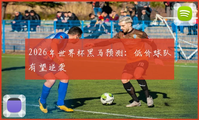 2026年世界杯黑马预测：低价球队有望逆袭