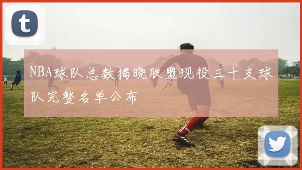 NBA球队总数揭晓联盟现役三十支球队完整名单公布